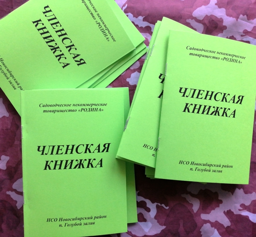 Где Купить Книгу В Новосибирске