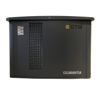 Газовый генератор CTG CG18000SA