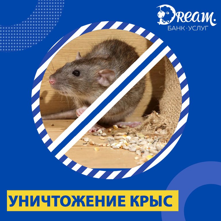 травля крыс