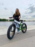 Электровелосипед Elbike MATRIX BIG ELITE