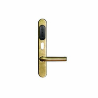 Gate-IP-Lock (IP500) Специализированный дверной контроллер в виде накладки замка