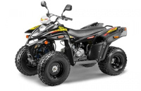 Квадроцикл STELS ATV 110A HUGO Stels