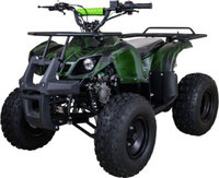 Квадроцикл RAPTOR ATV 200U PREMIUM ALL 200СС 4Т Raptor