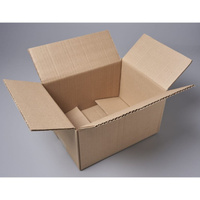 Картонная коробка PACK INNOVATION IP0GK00251914-100