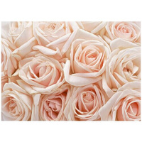 Букет розовых роз - Виниловые фотообои, (211х150 см) Модный Дом